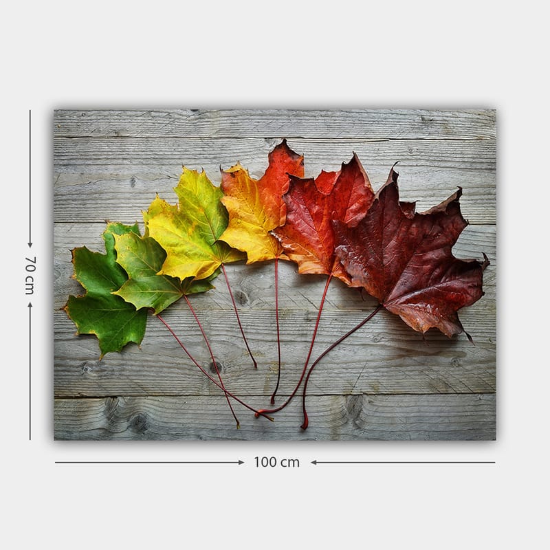 Canvastavla 70x100 cm - Samling av färgglada höstlöv i olika nyanser på en träyta - Grön / Gul / Röd - Inredning - Tavlor & konst - Canvastavlor