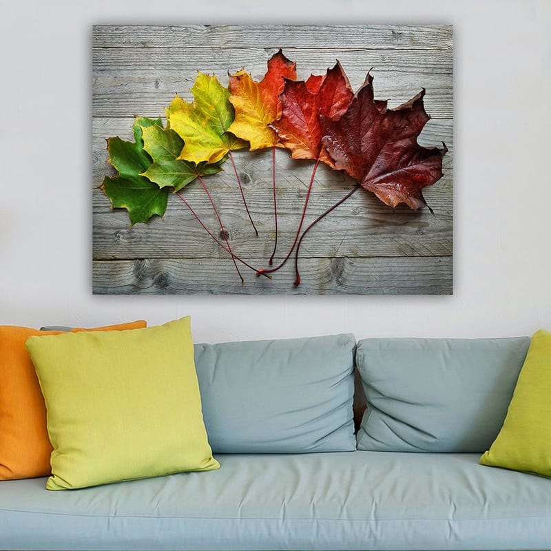 Canvastavla 70x100 cm - Samling av färgglada höstlöv i olika nyanser på en träyta - Grön / Gul / Röd - Inredning - Tavlor & konst - Canvastavlor