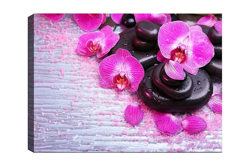 Canvastavla 70x100 cm - Samling av lila orkidéer och svarta stenar på en ljus bakgrund - Lila / Svart - Inredning - Tavlor & konst - Canvastavlor