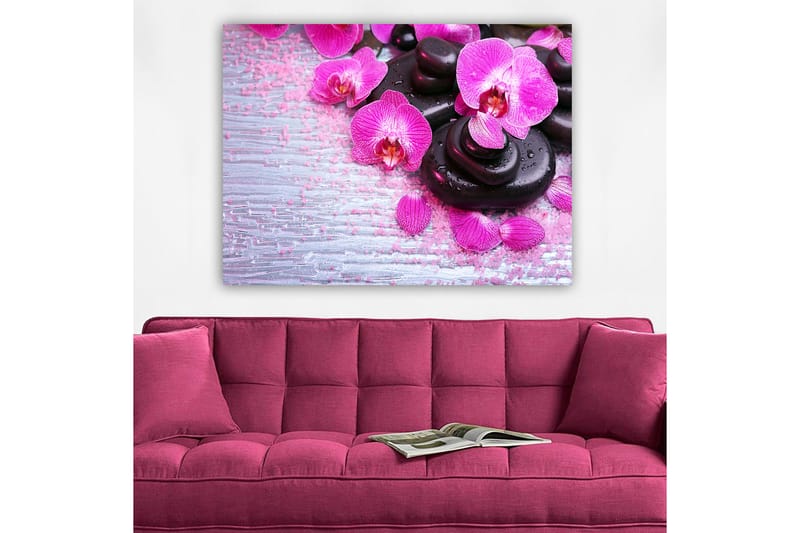 Canvastavla 70x100 cm - Samling av lila orkidéer och svarta stenar på en ljus bakgrund - Lila / Svart - Inredning - Tavlor & konst - Canvastavlor