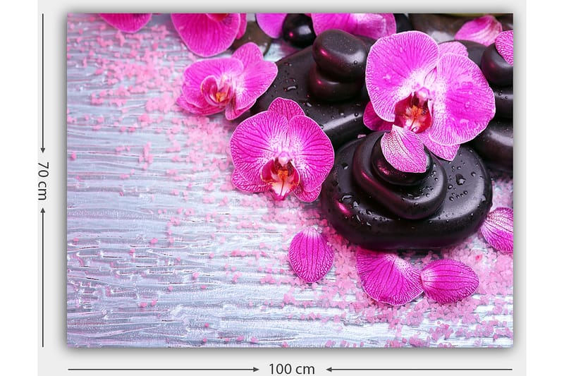 Canvastavla 70x100 cm - Samling av lila orkidéer och svarta stenar på en ljus bakgrund - Lila / Svart - Inredning - Tavlor & konst - Canvastavlor