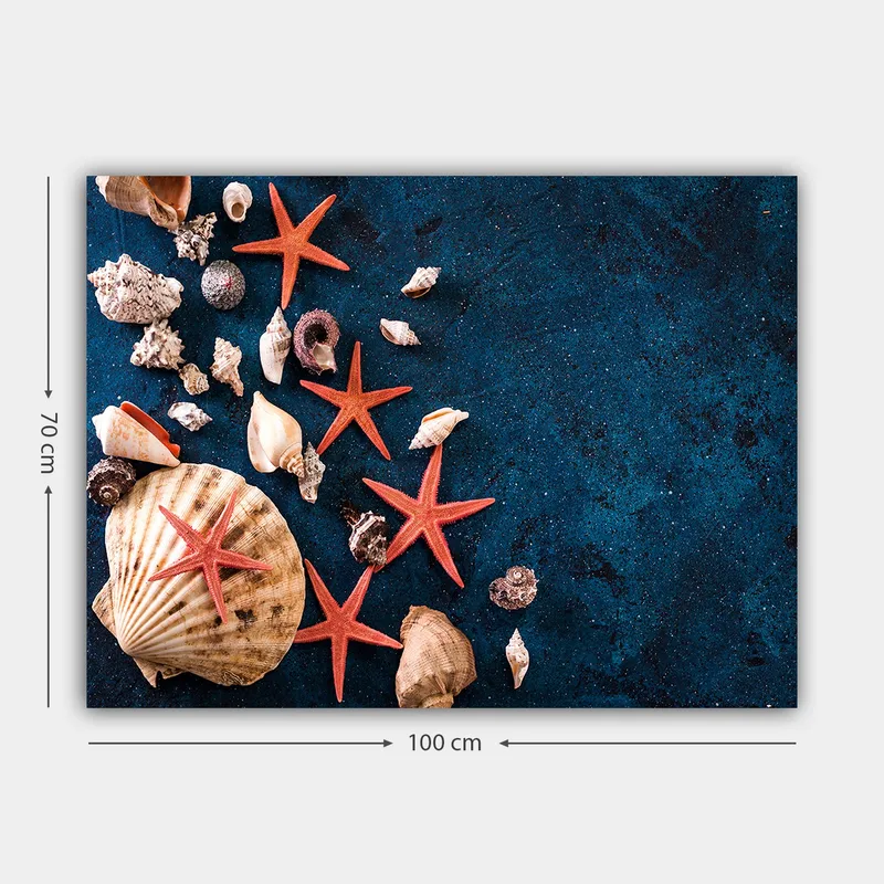 Canvastavla 70x100 cm - Samling av snäckor och sjöstjärnor på en djupblå yta - Djupblå / Röd / Beige - Inredning - Tavlor & konst - Canvastavlor