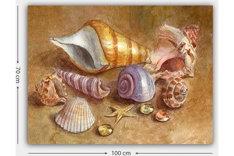 Canvastavla 70x100 cm - Samling av snäckor och stenar i mjuka, naturliga färger - Beige / Lila / Orange - Inredning - Tavlor & konst - Canvastavlor