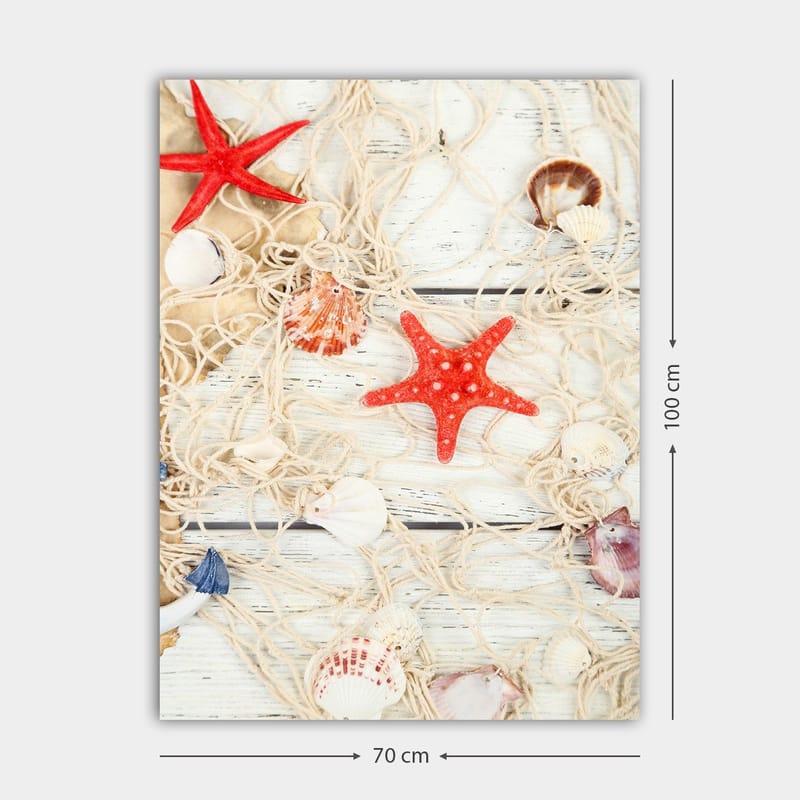 Canvastavla 70x100 cm - Samling av snäckor och stjärnformade sjöstjärnor på ett nät - Röd / Beige / Vit - Inredning - Tavlor & konst - Canvastavlor