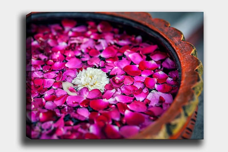 Canvastavla 70x100 cm - Skål med rosa rosblad och en vit blomma som flyter på ytan, Rosa / Vit