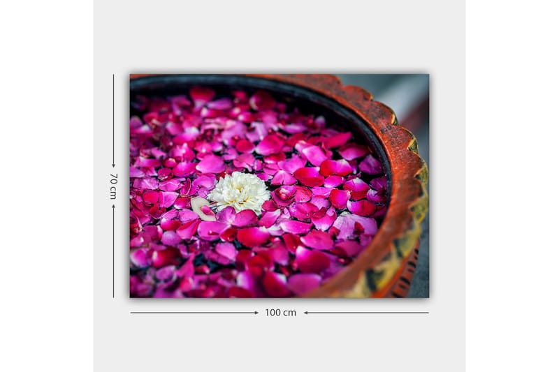 Canvastavla 70x100 cm - Skål med rosa rosblad och en vit blomma som flyter på ytan - Rosa / Vit - Inredning - Tavlor & konst - Canvastavlor