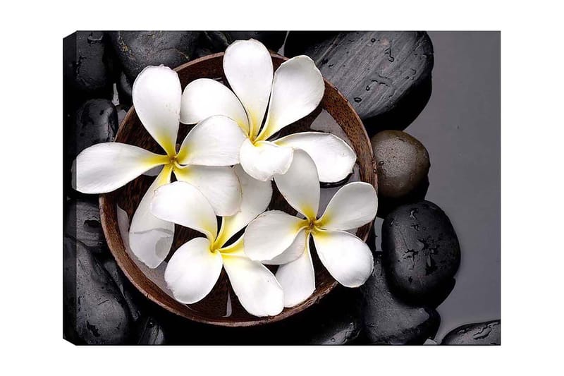 Canvastavla 70x100 cm - Skål med vita blommor och svarta stenar - Vit / Svart / Gul - Inredning - Tavlor & konst - Canvastavlor
