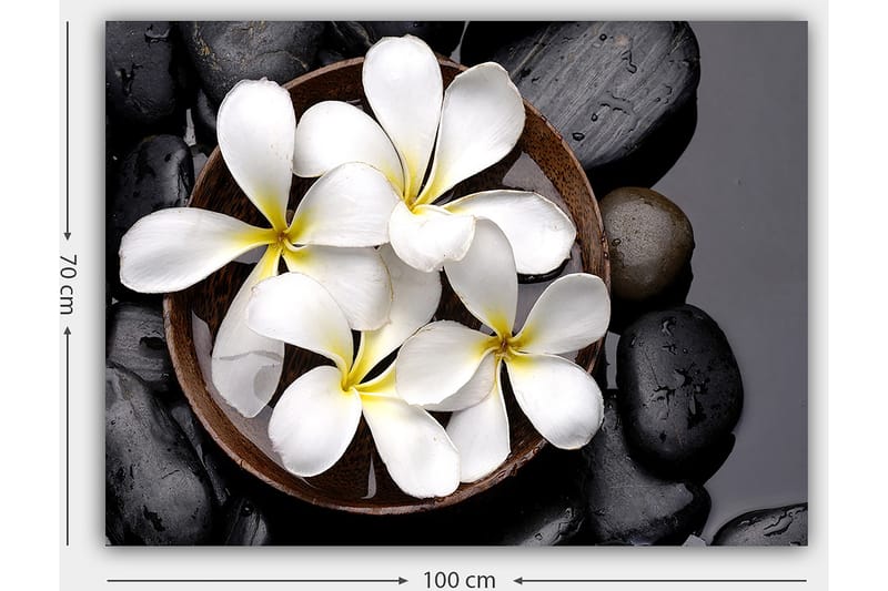 Canvastavla 70x100 cm - Skål med vita blommor och svarta stenar - Vit / Svart / Gul - Inredning - Tavlor & konst - Canvastavlor