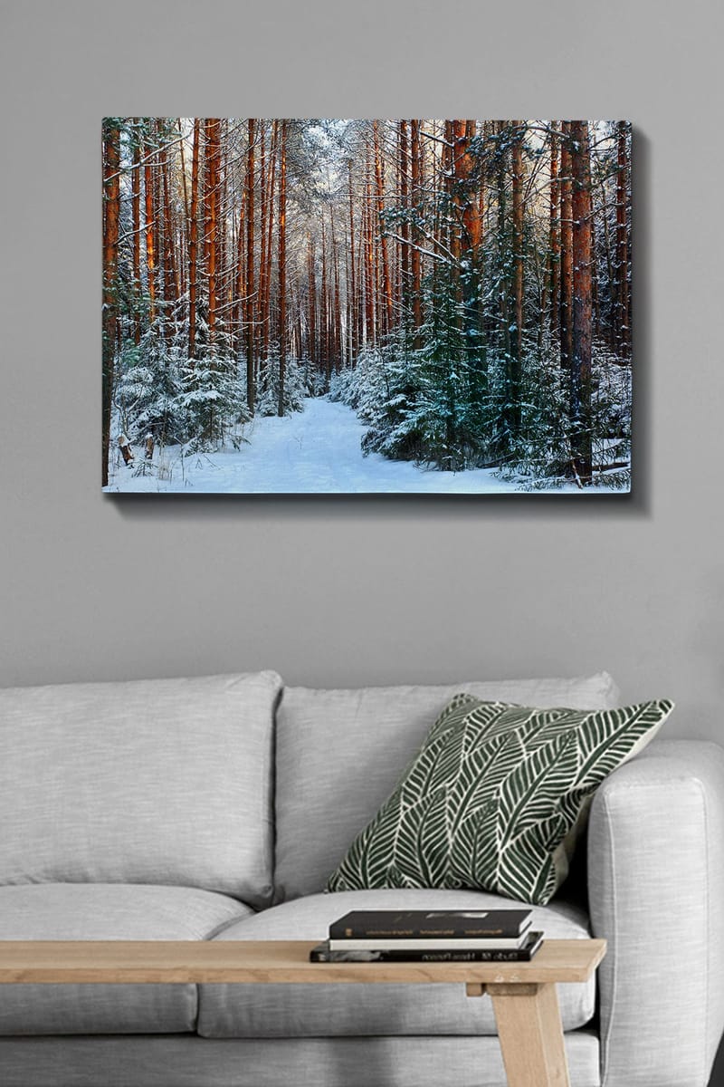 Canvastavla 70x100 cm - Snötäckt skogsgång omgiven av höga, rödbruna tallar - Rödbrun / Vit / Grön - Inredning - Tavlor & konst - Canvastavlor