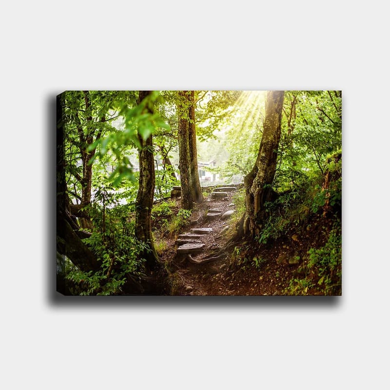 Canvastavla 70x100 cm - Solbelyst stig omgiven av grönska i en skogsmiljö, Grön / Brun