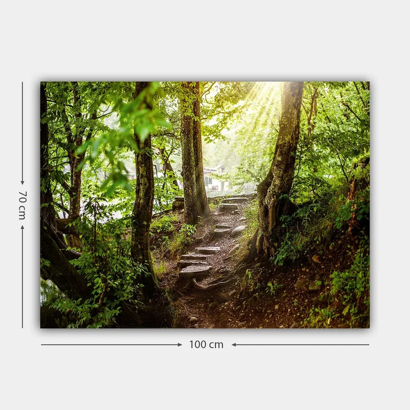 Canvastavla 70x100 cm - Solbelyst stig omgiven av grönska i en skogsmiljö - Grön / Brun - Inredning - Tavlor & konst - Canvastavlor