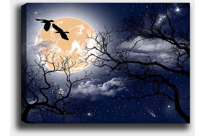 Canvastavla 70x100 cm - Stämningsfull nattlandskap med en stor måne och silhuetter av träd samt fåglar som flyger över himlen - Mörkblå / Svart / Ljusgul - Inredning - Tavlor & konst - Canvastavlor