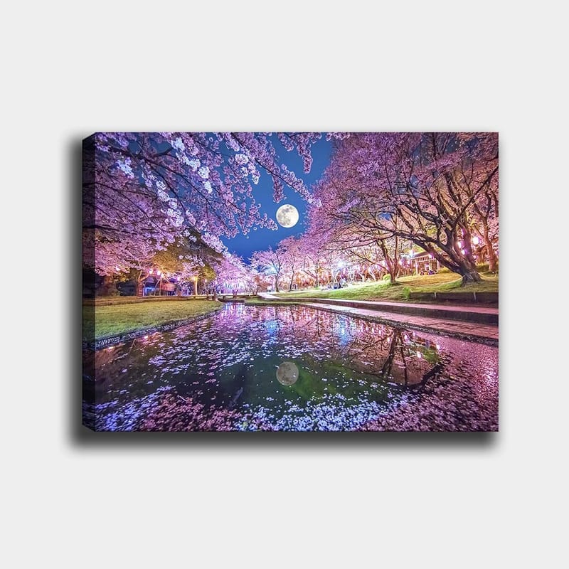 Canvastavla 70x100 cm - Stämningsfull scen med körsbärsträd i blom och en fullmåne som speglas i en stilla sjö, Rosa / Blå / Grön