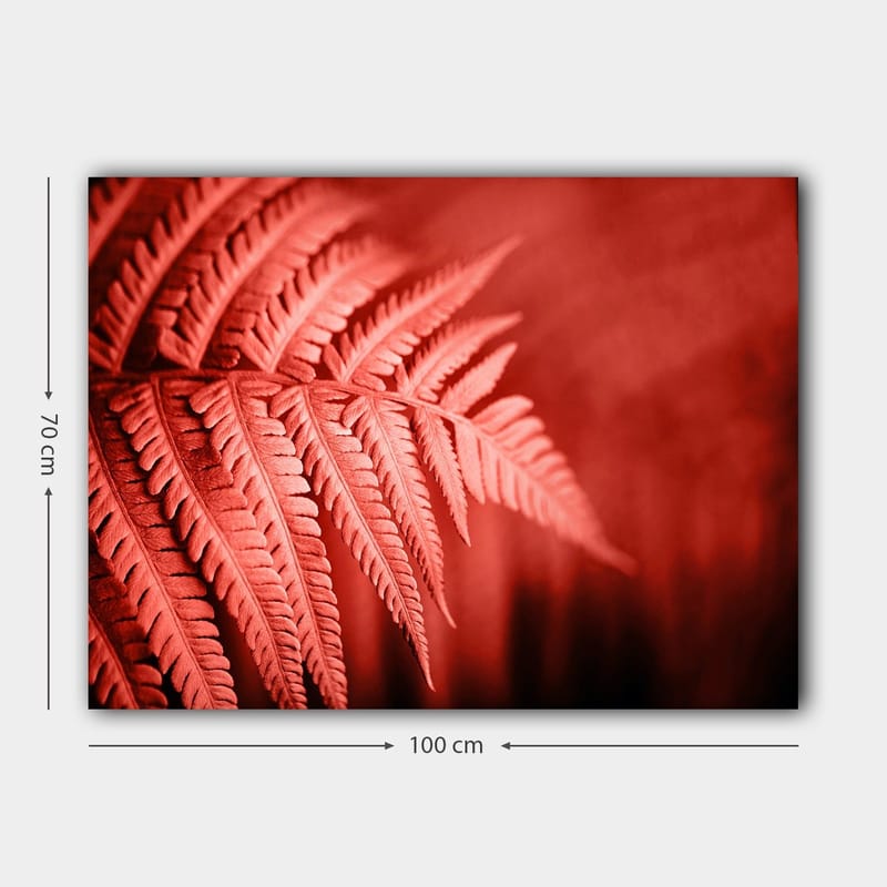 Canvastavla 70x100 cm - Stiliserad bild av ett rödaktigt ormbunke som framhäver dess detaljer - Röd / Svart - Inredning - Tavlor & konst - Canvastavlor