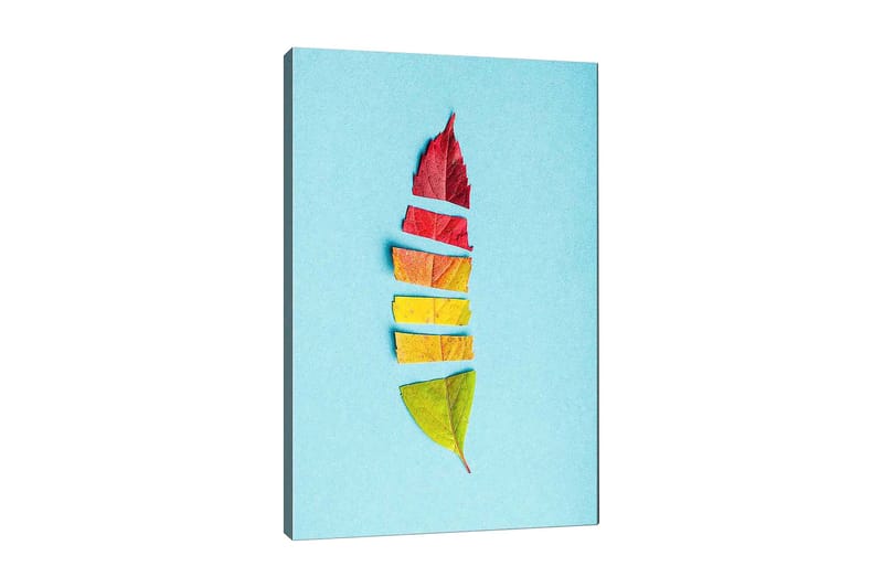 Canvastavla 70x100 cm - Stiliserad fjäder skapad av färgglada höstlöv, Röd / Gul / Grön