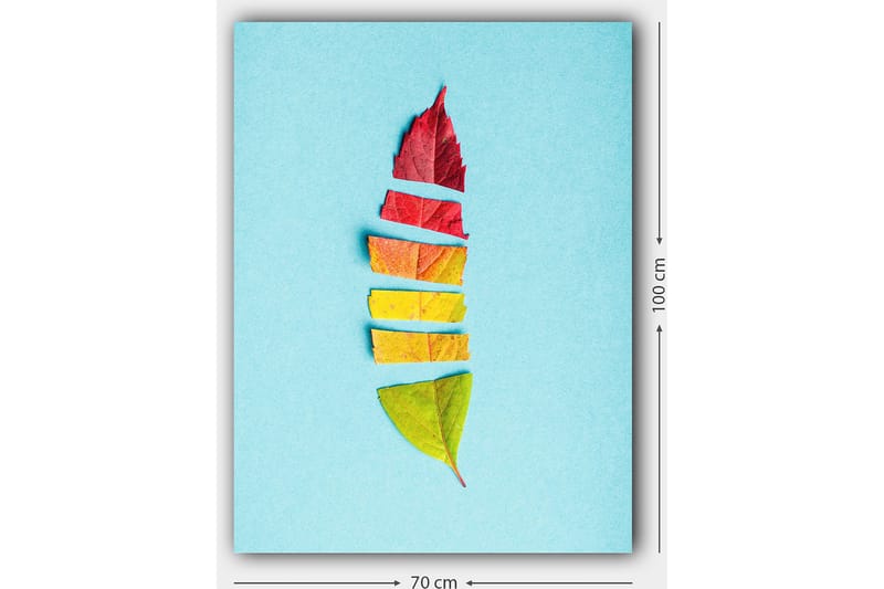 Canvastavla 70x100 cm - Stiliserad fjäder skapad av färgglada höstlöv - Röd / Gul / Grön - Inredning - Tavlor & konst - Canvastavlor