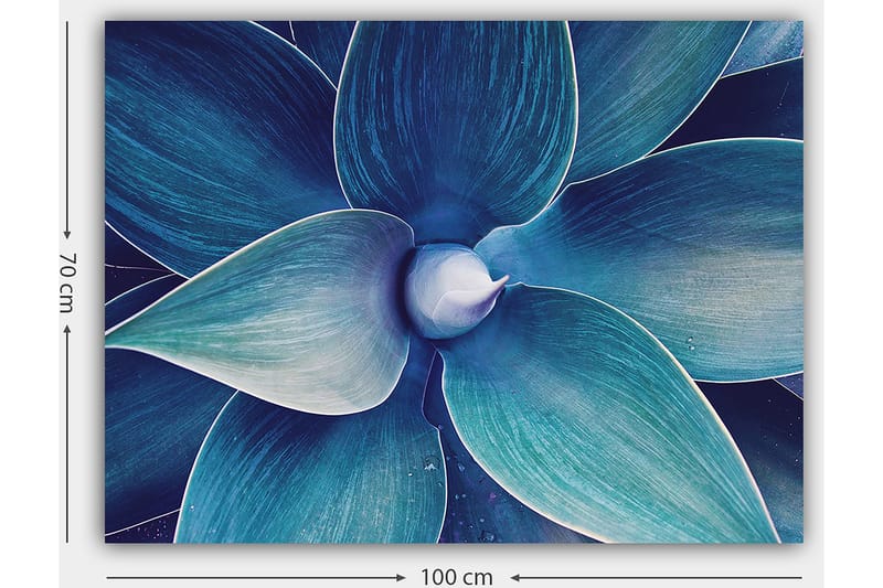 Canvastavla 70x100 cm - Stiliserad närbild av en växt med stora, böljande blad - Blå / Turkos - Inredning - Tavlor & konst - Canvastavlor