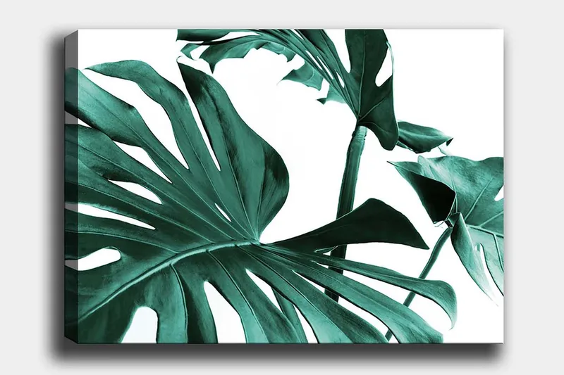 Canvastavla 70x100 cm - Stiliserade gröna palmblad mot en vit bakgrund, Mörkgrön / Turkos