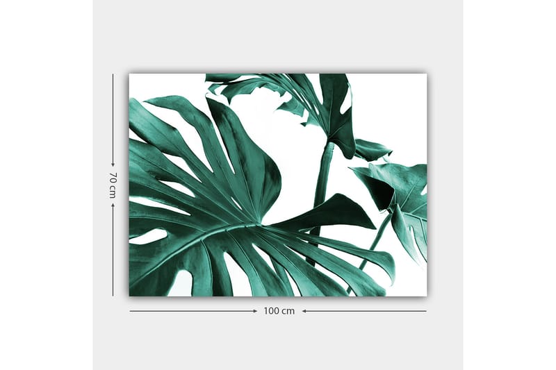 Canvastavla 70x100 cm - Stiliserade gröna palmblad mot en vit bakgrund - Mörkgrön / Turkos - Inredning - Tavlor & konst - Canvastavlor