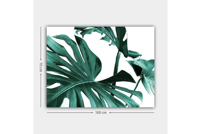 Canvastavla 70x100 cm - Stiliserade gröna palmblad mot en vit bakgrund - Mörkgrön / Turkos - Inredning - Tavlor & konst - Canvastavlor