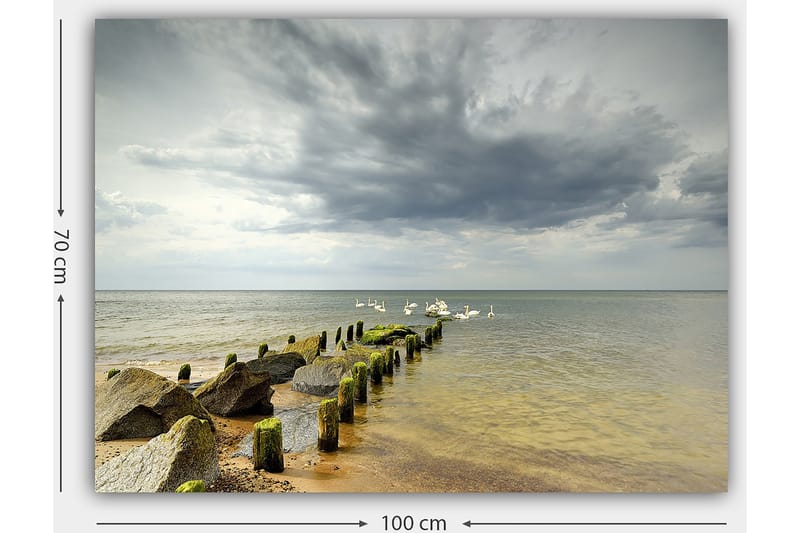 Canvastavla 70x100 cm - Stilla sjöscen med svanar som simmar vid en brygga omgiven av stenar - Grå / Grön / Blå - Inredning - Tavlor & konst - Canvastavlor