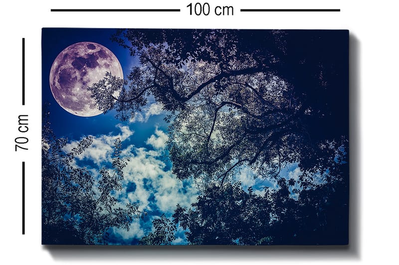 Canvastavla 70x100 cm - Stjärnklar natt med en stor måne som lyser genom trädens grenar - Mörkblå / Ljusblå / Lila - Inredning - Tavlor & konst - Canvastavlor