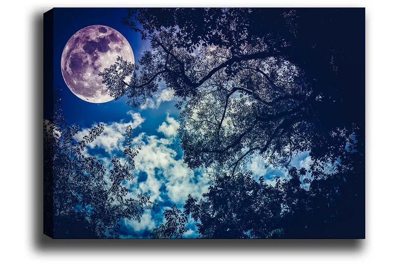 Canvastavla 70x100 cm - Stjärnklar natt med en stor måne som lyser genom trädens grenar - Mörkblå / Ljusblå / Lila - Inredning - Tavlor & konst - Canvastavlor