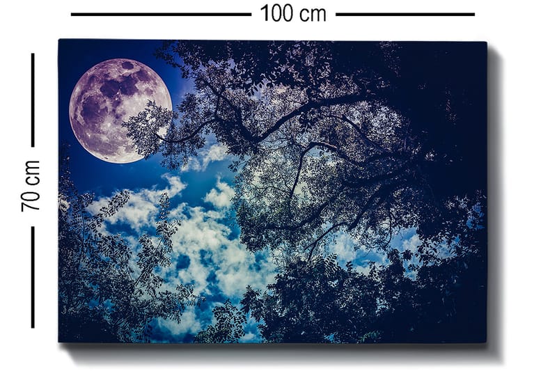 Canvastavla 70x100 cm - Stjärnklar natt med en stor måne som lyser genom trädens grenar - Mörkblå / Ljusblå / Lila - Inredning - Tavlor & konst - Canvastavlor