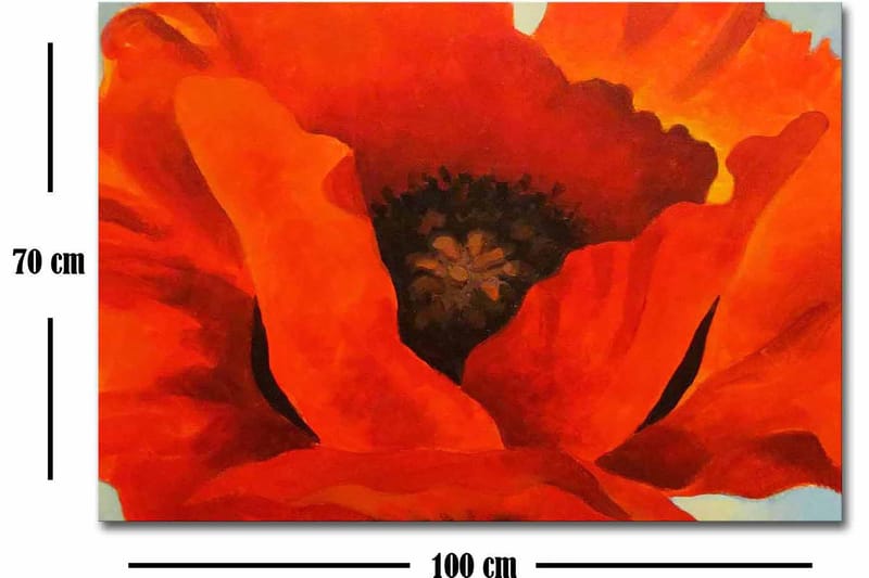 Canvastavla 70x100 cm - Stor, färgstark vallmo med intensiva röda och orangea toner - Röd / Orange - Inredning - Tavlor & konst - Canvastavlor