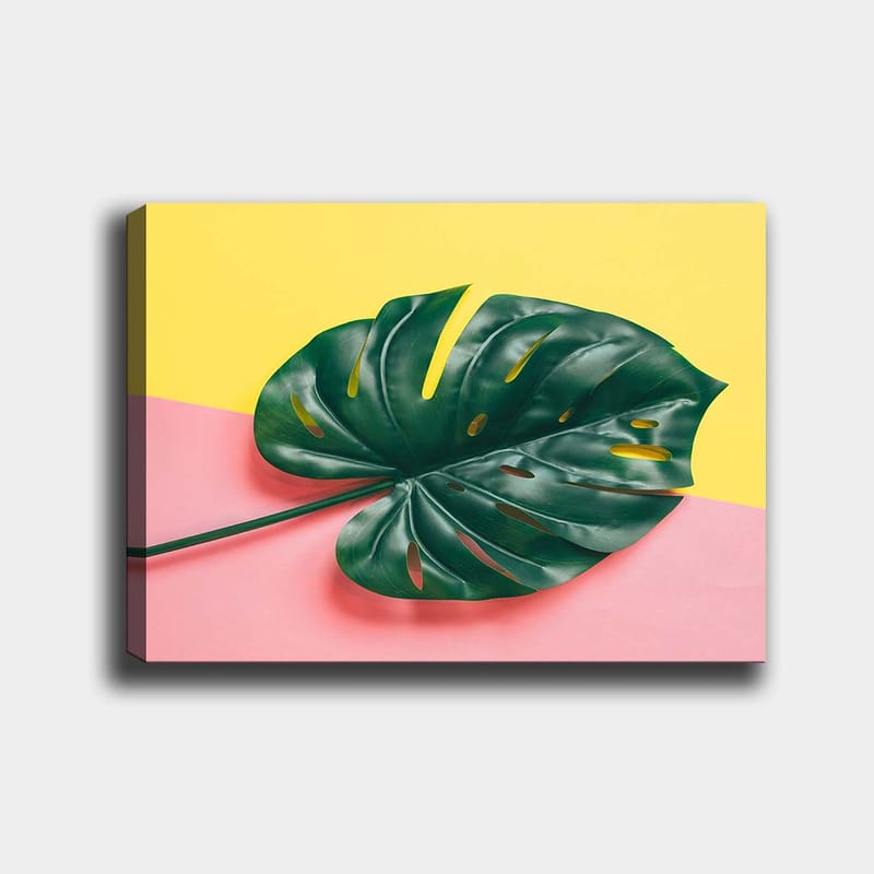Canvastavla 70x100 cm - Stor, grön monstera-blad mot en färgglad bakgrund av gul och rosa - Grön / Gul / Rosa - Inredning - Tavlor & konst - Canvastavlor