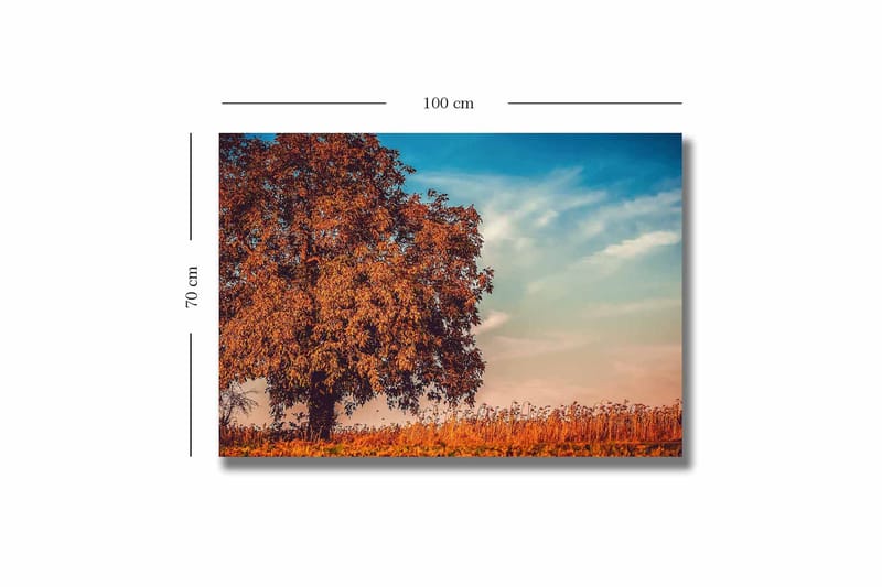 Canvastavla 70x100 cm - Stor, orange trädkrona i höstfärger mot en klarblå himmel - Orange / Blå / Beige - Inredning - Tavlor & konst - Canvastavlor