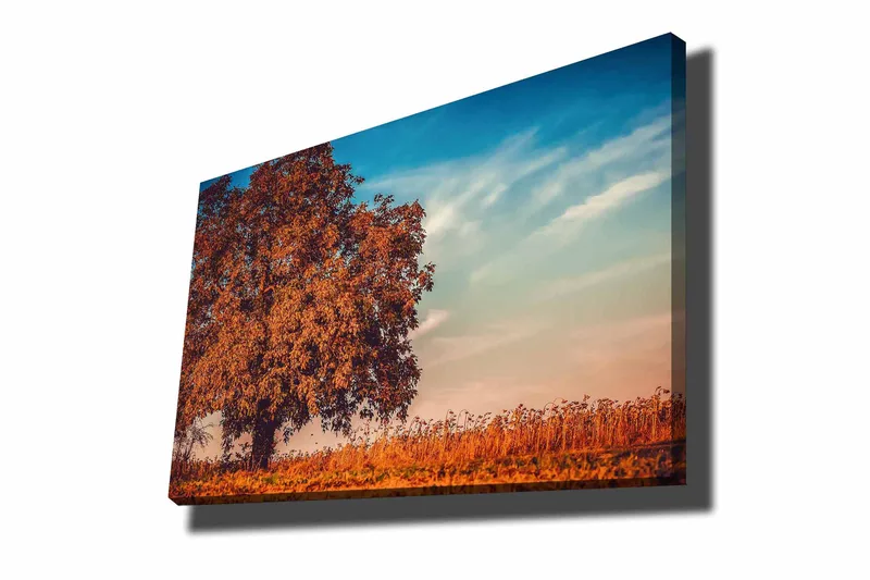 Canvastavla 70x100 cm - Stor, orange trädkrona i höstfärger mot en klarblå himmel - Orange / Blå / Beige - Inredning - Tavlor & konst - Canvastavlor