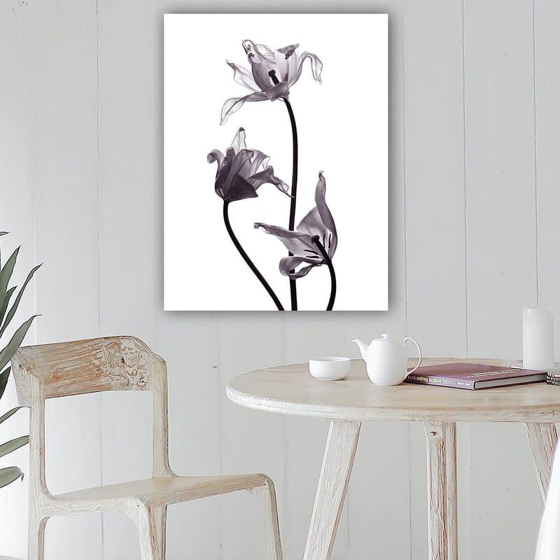 Canvastavla 70x100 cm - Svartvita tulpaner med eleganta former som sträcker sig mot toppen - Svart / Grå - Inredning - Tavlor & konst - Canvastavlor