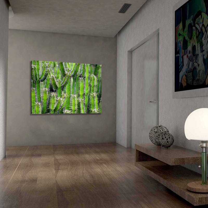 Canvastavla 70x100 cm - Tät samling av kaktusar med långa, smala stammar och taggar - Grön / Ljusgrön - Inredning - Tavlor & konst - Canvastavlor
