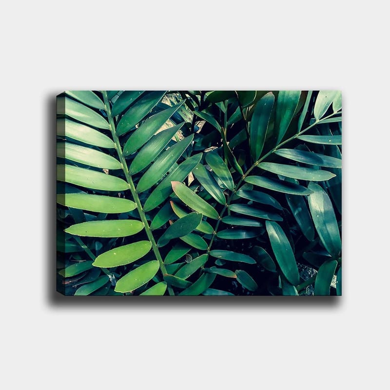 Canvastavla 70x100 cm - Tätt sammanvävda gröna växtblad som skapar en frodig och livfull känsla, Mörkgrön / Ljusgrön