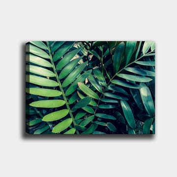 Canvastavla 70x100 cm - Tätt sammanvävda gröna växtblad som skapar en frodig och livfull känsla - Mörkgrön / Ljusgrön - Inredning - Tavlor & konst - Canvastavlor