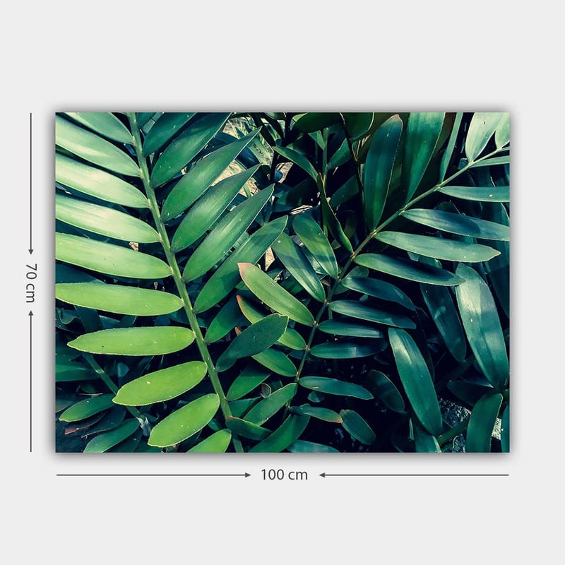 Canvastavla 70x100 cm - Tätt sammanvävda gröna växtblad som skapar en frodig och livfull känsla - Mörkgrön / Ljusgrön - Inredning - Tavlor & konst - Canvastavlor