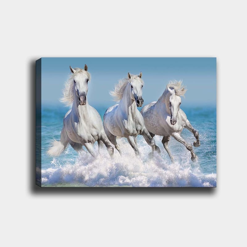 Canvastavla 70x100 cm - Tre vita hästar som galopperar genom vågorna vid havet - Vit / Ljusblå / Turkos - Inredning - Tavlor & konst - Canvastavlor