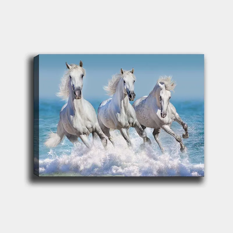 Canvastavla 70x100 cm - Tre vita hästar som galopperar genom vågorna vid havet, Vit / Ljusblå / Turkos