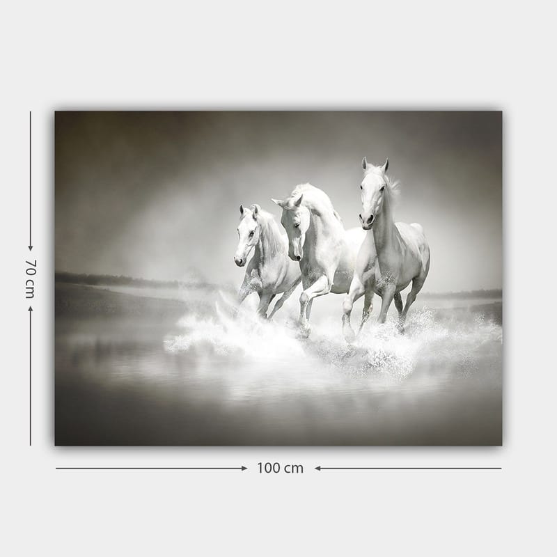 Canvastavla 70x100 cm - Tre vita hästar som galopperar genom vatten - Vit / Grå - Inredning - Tavlor & konst - Canvastavlor