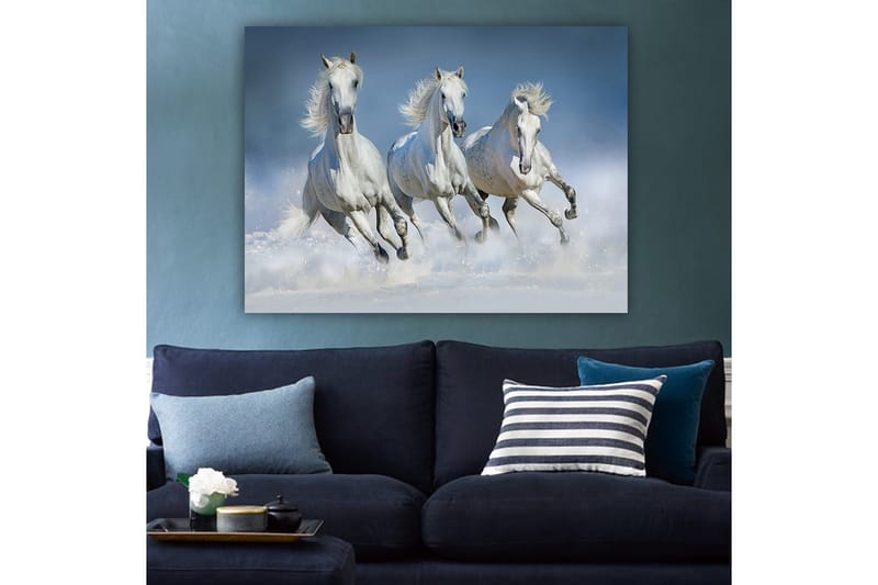Canvastavla 70x100 cm - Tre vita hästar som galopperar genom vattnet - Vit / Ljusblå - Inredning - Tavlor & konst - Canvastavlor