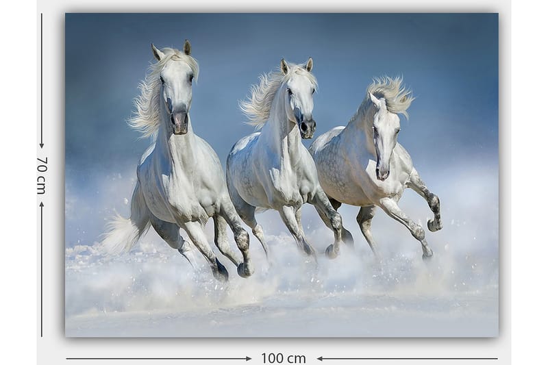 Canvastavla 70x100 cm - Tre vita hästar som galopperar genom vattnet - Vit / Ljusblå - Inredning - Tavlor & konst - Canvastavlor