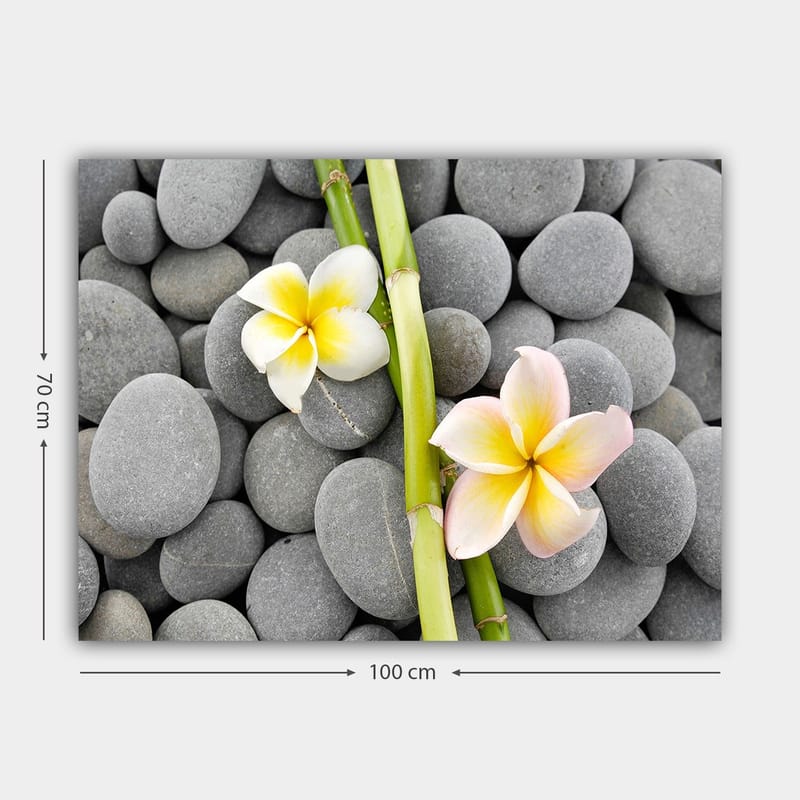 Canvastavla 70x100 cm - Två blommor i pastellfärger som ligger på en samling grå stenar - Grå / Gul / Rosa - Inredning - Tavlor & konst - Canvastavlor