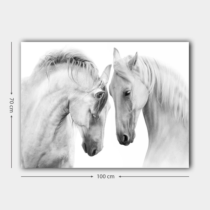 Canvastavla 70x100 cm - Två eleganta hästar som står nära varandra och visar en känsla av samhörighet - Vit / Grå - Inredning - Tavlor & konst - Canvastavlor