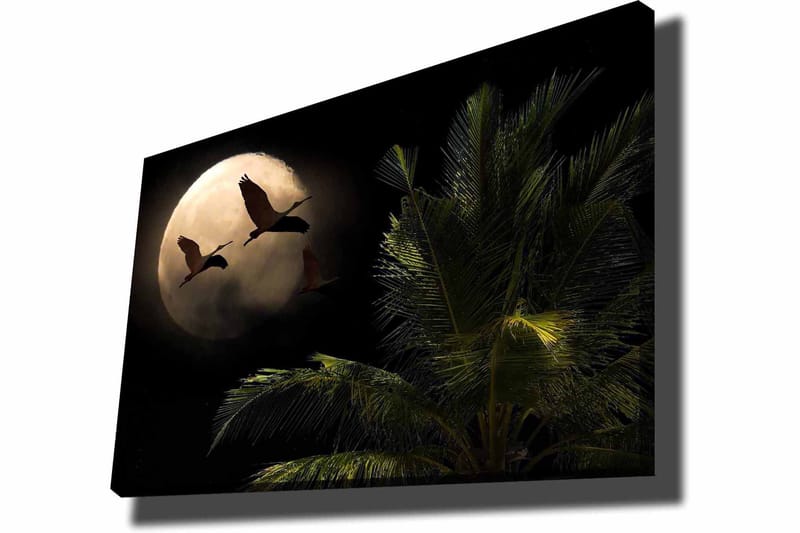 Canvastavla 70x100 cm - Två fåglar som flyger mot en stor måne över en palmliknande växt - Mörkgrön / Grå / Beige - Inredning - Tavlor & konst - Canvastavlor