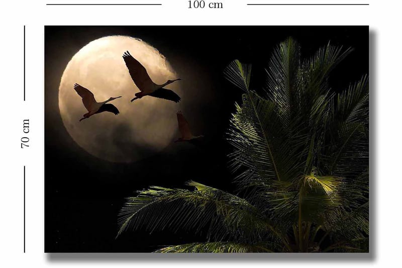 Canvastavla 70x100 cm - Två fåglar som flyger mot en stor måne över en palmliknande växt - Mörkgrön / Grå / Beige - Inredning - Tavlor & konst - Canvastavlor