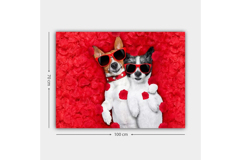 Canvastavla 70x100 cm - Två hundar som ligger tillsammans på en röd blomsterbakgrund, iförda solglasögon - Röd / Vit / Svart - Inredning - Tavlor & konst - Canvastavlor