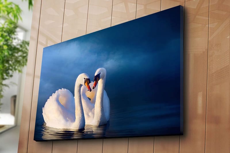 Canvastavla 70x100 cm - Två svanar som formar ett hjärta med sina halsar i en romantisk och lugn atmosfär - Vit / Mörkblå - Inredning - Tavlor & konst - Canvastavlor