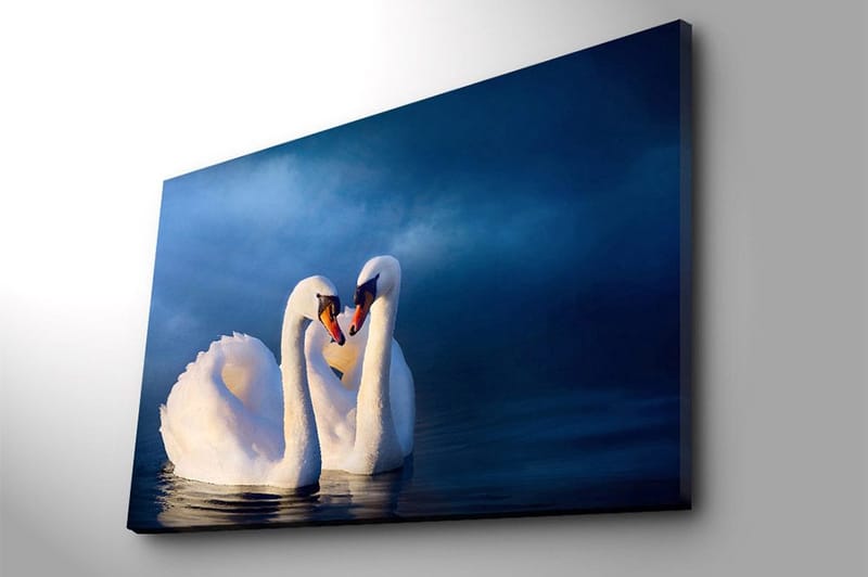 Canvastavla 70x100 cm - Två svanar som formar ett hjärta med sina halsar i en romantisk och lugn atmosfär - Vit / Mörkblå - Inredning - Tavlor & konst - Canvastavlor