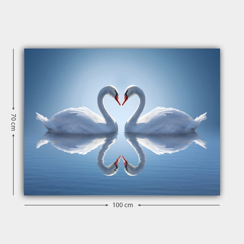 Canvastavla 70x100 cm - Två svanar som formar ett hjärta med sina halsar i en spegelbild på vattnet - Vit / Röd / Blå - Inredning - Tavlor & konst - Canvastavlor